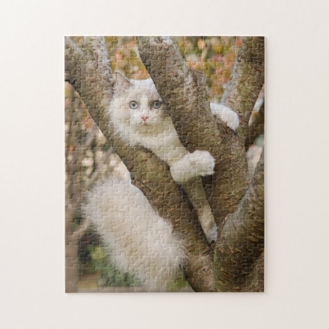 Flautige Katze mit blauen Augen in einem Baum (Vertikal)