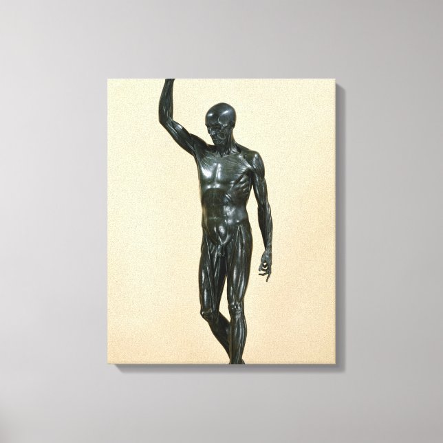 Flayed Body Leinwanddruck (Vorderseite)