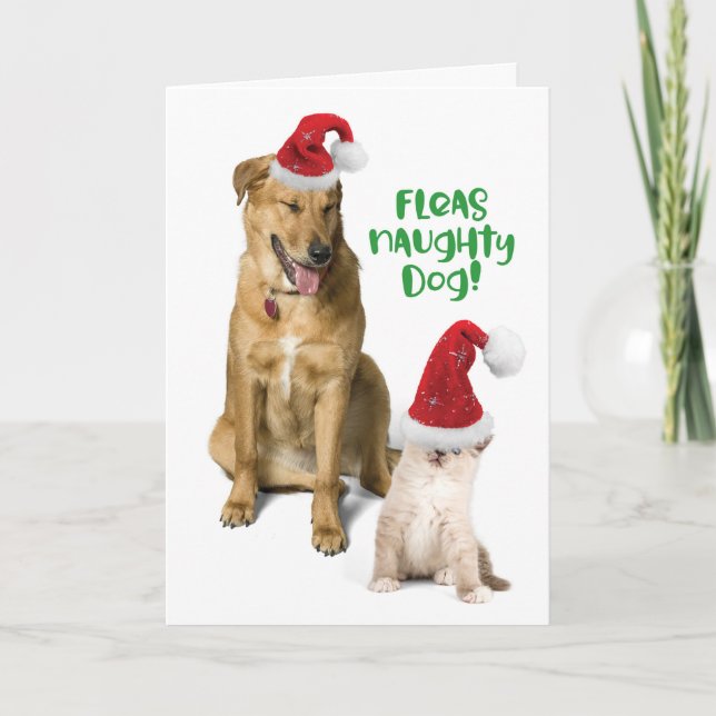 Fleas Naughty Hund Funny Weihnachten Hund mit Katz (Vorderseite)
