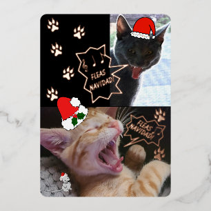 Fleas Navidad Chanter Chats Carte de voeux de Noël