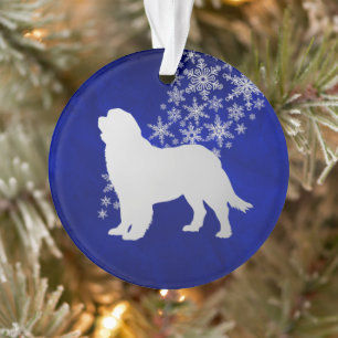 Fléau de neige bleu Silver Terre-Neuve Chien rond