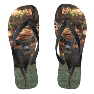Flèches de tongs de Blacktail Buck