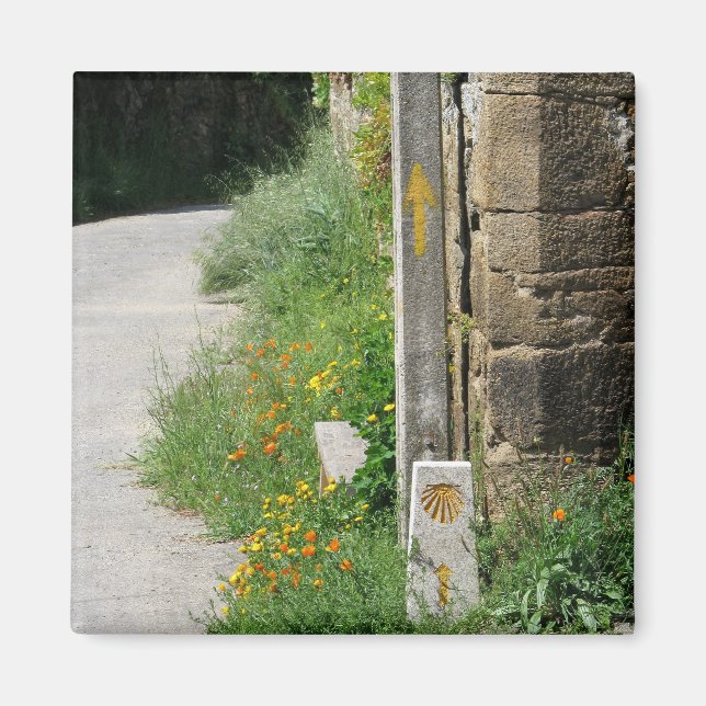 Flèches et aimants coque (Devant)