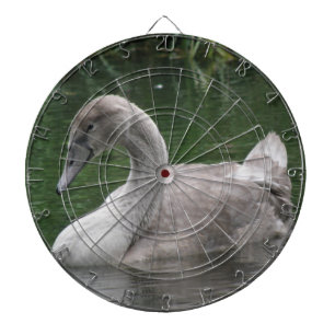 Fléchettes Le cygne gracieux sur la Cible de flechettes aquat