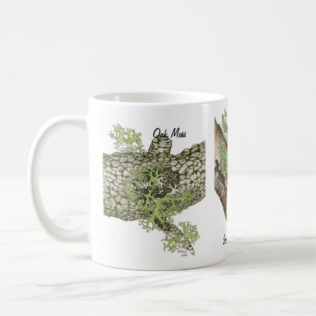 Flechte 1 kaffeetasse (Links)