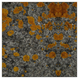 Flechte auf Granit-Fotogewebe Stoff