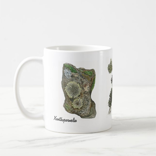 Flechten 2 kaffeetasse (Links)