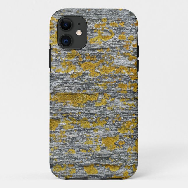 Flechten auf Granit Case-Mate iPhone Hülle (Rückseite)