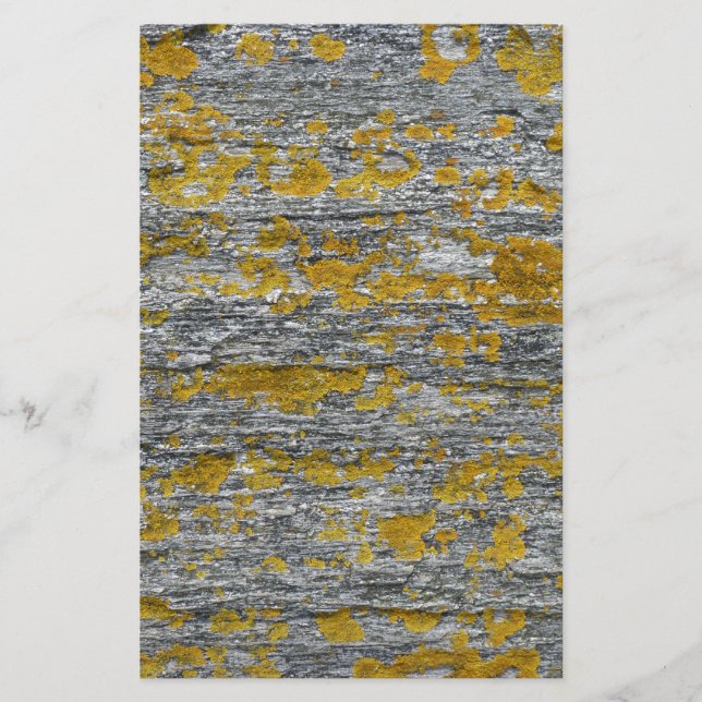 Flechten auf Granitstein Briefpapier (Vorderseite)