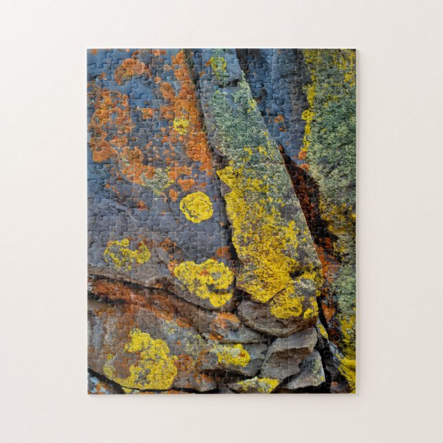 Flechtenbedeckte Felsen (Vertikal)