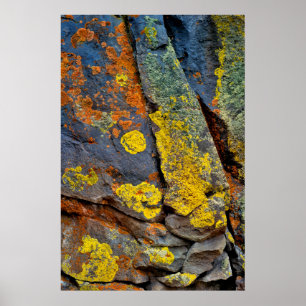 Flechtenbedeckte Felsen Poster