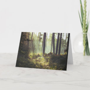 Flecken des Unterholzes im Wald Karte