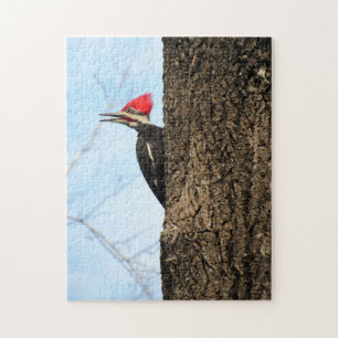 Fleckenspecht - Vogel - Puzzle