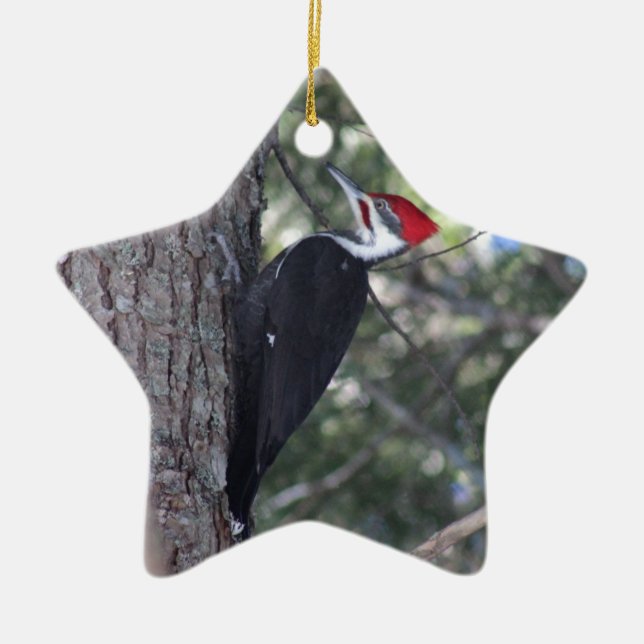 Flecker Keramikornament (Vorne)
