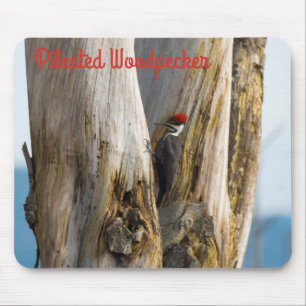 Flecker Mousepad