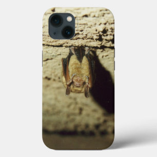 Fledermaus Case-Mate iPhone Hülle
