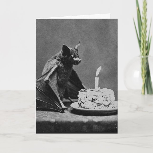 Fledermaus mit Geburtstagskuchen Karte (Vorderseite)