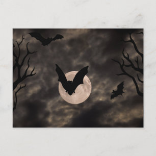 Fledermäuse Gruselige Nacht Halloween Postkarte