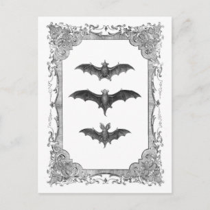 Fledermäuse Vintage-Rahmen Halloween-Postkarte Postkarte