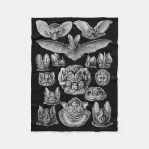 Fledermäuse Wissenschaftliche Illustration Zeichne Fleecedecke