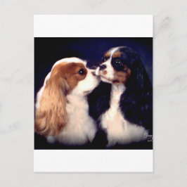 Fleet Street-Nova Tippy Postkarte