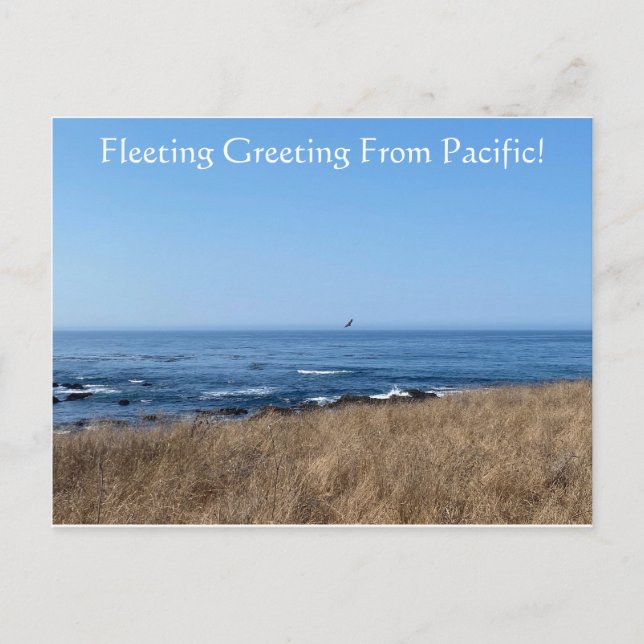 FleetingGruß vom Pazifik! Postkarte (Vorderseite)