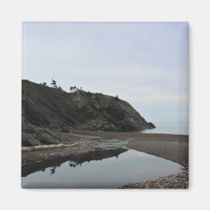 Fleisch-Bucht-Strand Magnet