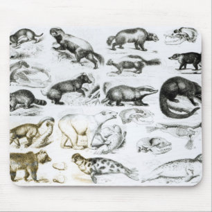 Fleisch fressende Tiere Mousepad