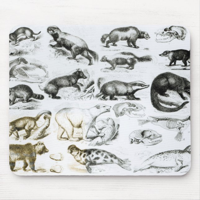 Fleisch fressende Tiere Mousepad (Vorne)