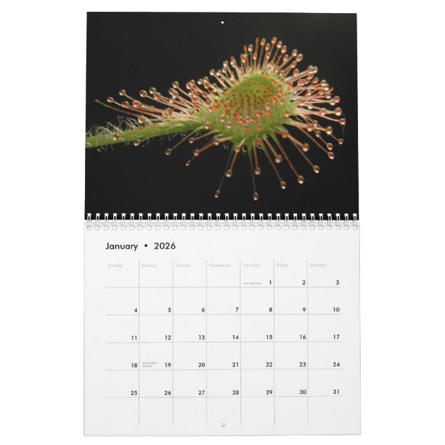 Fleisch fressender Pflanzen-Kalender Kalender (Jan 2026)