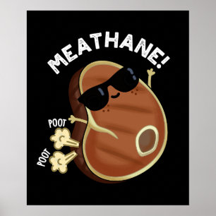 Fleisch-Hane Funny Farting Fleisch Pun Dark BG Poster