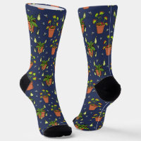 Fleischfresser Pflanze Nepenthes und Venus Fliegen