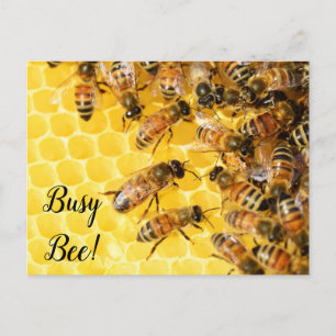 Fleißige Biene, Hummel, Honigbienenstock Postkarte