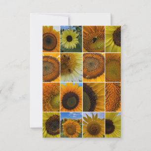 Fleißige Biene Sonnenblumen Collage Mitteilungskarte