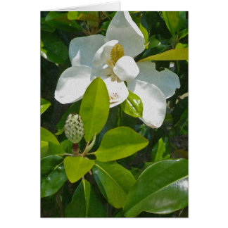 Fleur à porter des fruits