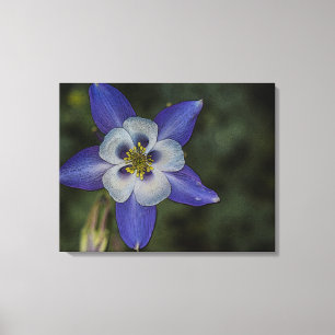 Fleur aquarelle photographie art déco maison
