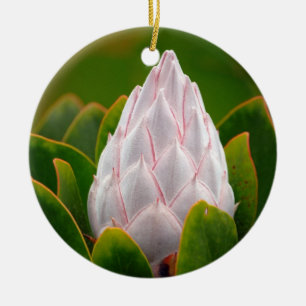 Fleur blanche du Roi Protea, ornement de Noël