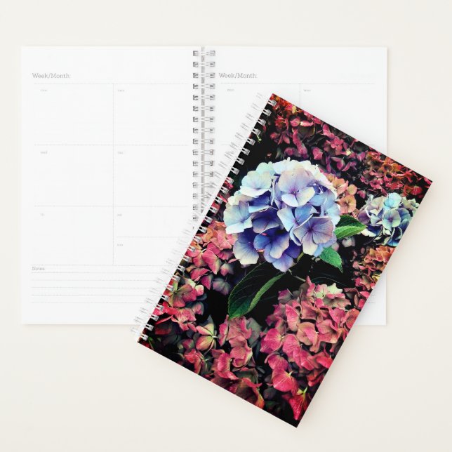 Fleur bleue et rose (Devant avec enveloppe)