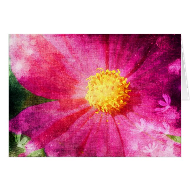 Fleur Cosmo (Devant horizontal)