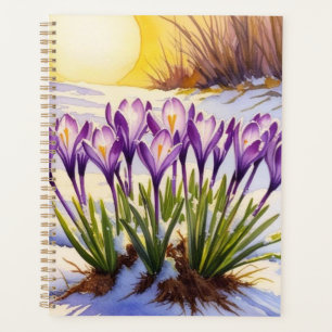 Fleur Crocus