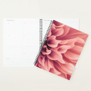 Fleur Dahlia