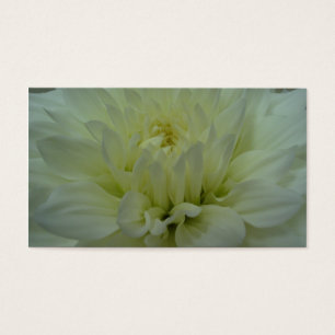 Fleur Dahlia Jaune