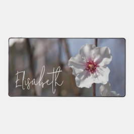 Fleur d'amande Nature Spring Modern Ajouter Votre 