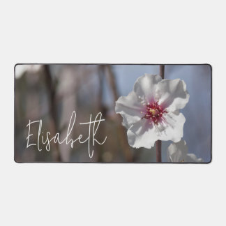 Fleur d'amande Nature Spring Modern Ajouter Votre 