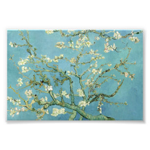 Fleur d'amandes par Van Gogh Beaux-arts Photo Prin