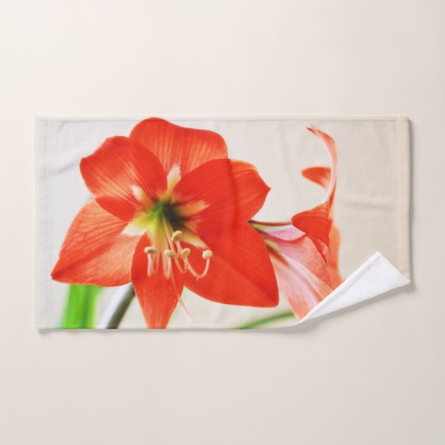 Fleur d'Amaryllis rouge (Serviette à main)