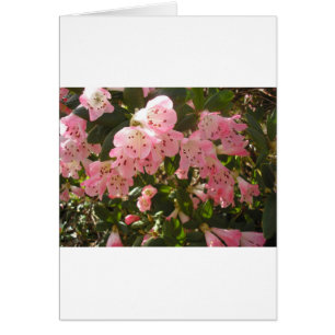 Fleur d'azalée rose