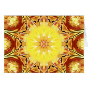 Fleur de cactus