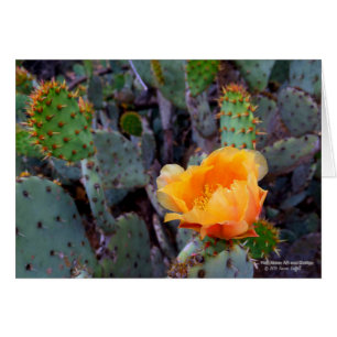 Fleur de cactus à poires orange