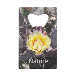 Fleur de cactus jaune au printemps